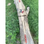 Handmade Leather Rifle Sling with Texas Flag, Deer & Eagle Design – Custom Hunting Gun Strap - Image 3